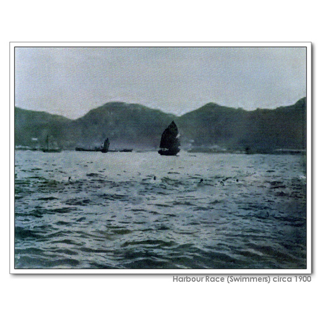 Harbour Race